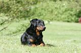 BEAUCERON 842